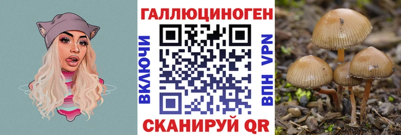 ссылка на мегу ONION хочу Верхняя Тура Псилоцибиновые грибы мицелий